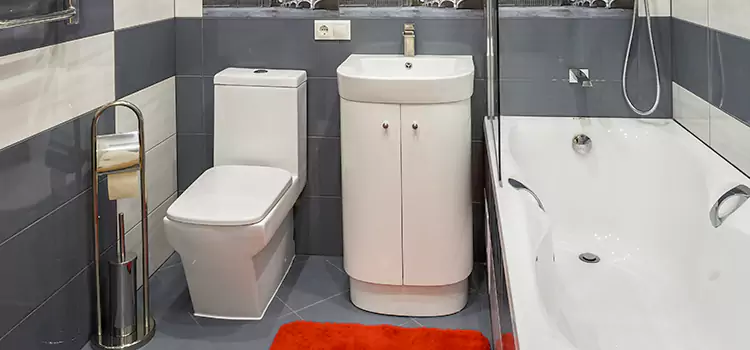 Hansgrohe Shaving Mirror South El Monte